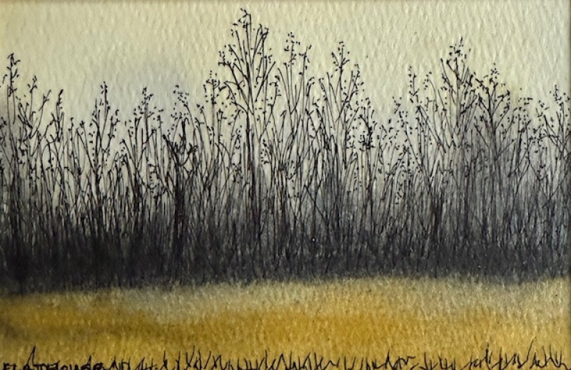Brushy Horizon by artist Pat Flathouse
